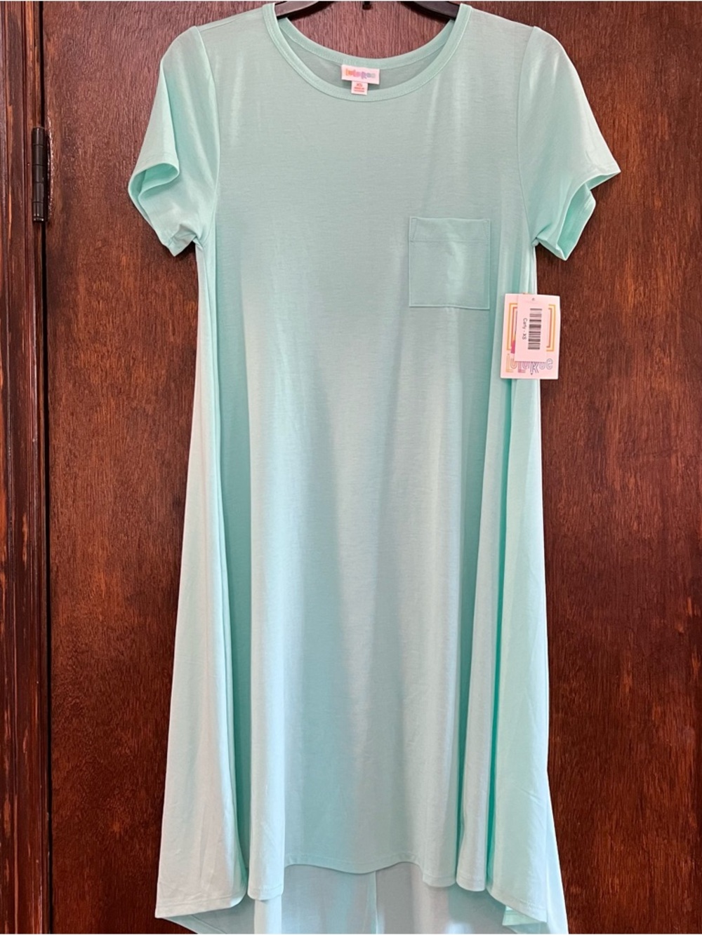 LuLaRoe Carly Women’s Mint Green Pocket Dress NWT